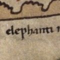 Mention of the place where elephants are born Elephants
